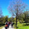 Montagne de Thiey-St Vallier-30.04.2017