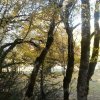 Le Tourounet-Coursegoules-29.10.2017