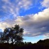 Le Mont Chauve d&#039;Aspremont-Gairaut-17.12.2017