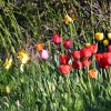 Séjour en Lozère-22.04.2018