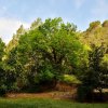 Gorges de St Cézaire-Montauroux-29.04.2018