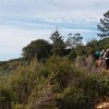 Tour du Pic de l&#039;Ours-Le Trayas-28.04.2019