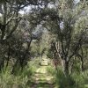 Lac de Méaulx-Bagnols en Forêt-Février 2021