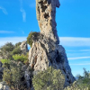 Montagne de la Loube et de l&#039;Amarron 26 Novembre 2023