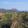 Petites Maures - Le Vaudois 14 Novembre 2024
