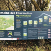 Courmette Le Caire 22 Décembre 2024