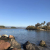 Etangs de Villepey St Ayguf  12 Décembre 20254