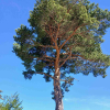 Pic de l&#039;Aiglo 25 Mai 2025