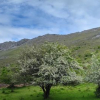 Rando resto Coursegoules 22 mai 2025