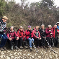 18 01 Ruines de Châteauneuf et Mont Macaron