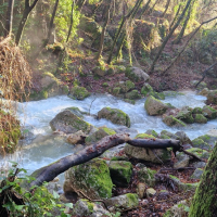 25 01 Bar sur Loup au plateau de Cavillore