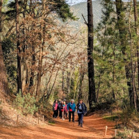 04 03 Colorado provençal de Rustrel et Gorges d'Oppedette 