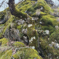 12 03 Baou Mourine depuis Escragnolles