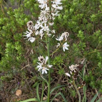 29 03 Les trois cols de Théoule au départ de Maure Vieil