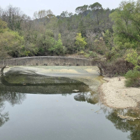 12 04 Réserve biologique de Fondurane