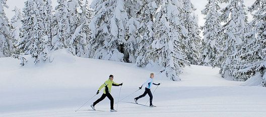 ski_de_fond